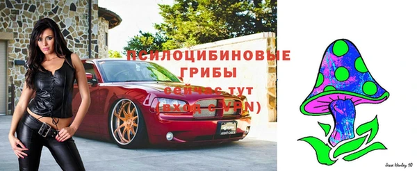 MDMA Premium VHQ Абинск