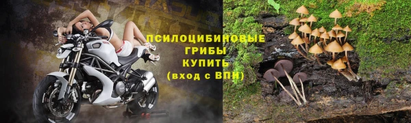 прущие крисы Абдулино