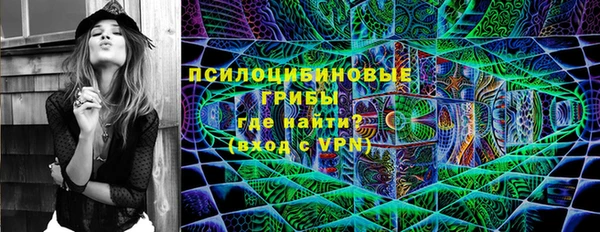 СК Абаза
