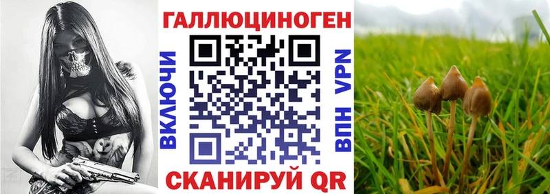 гидра зеркало  нарко площадка Telegram  Псилоцибиновые грибы Psilocybine cubensis  Нерчинск 